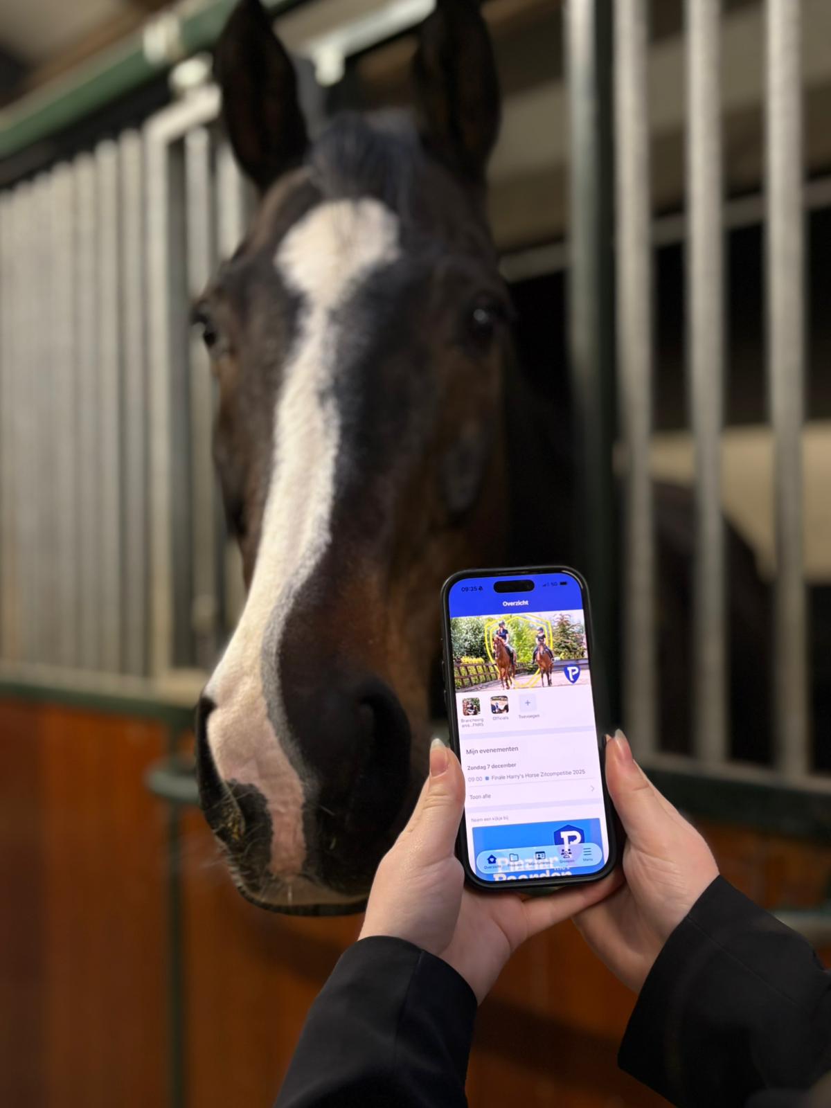 WhatsApp Image 2025-12-03 at 15.04.17